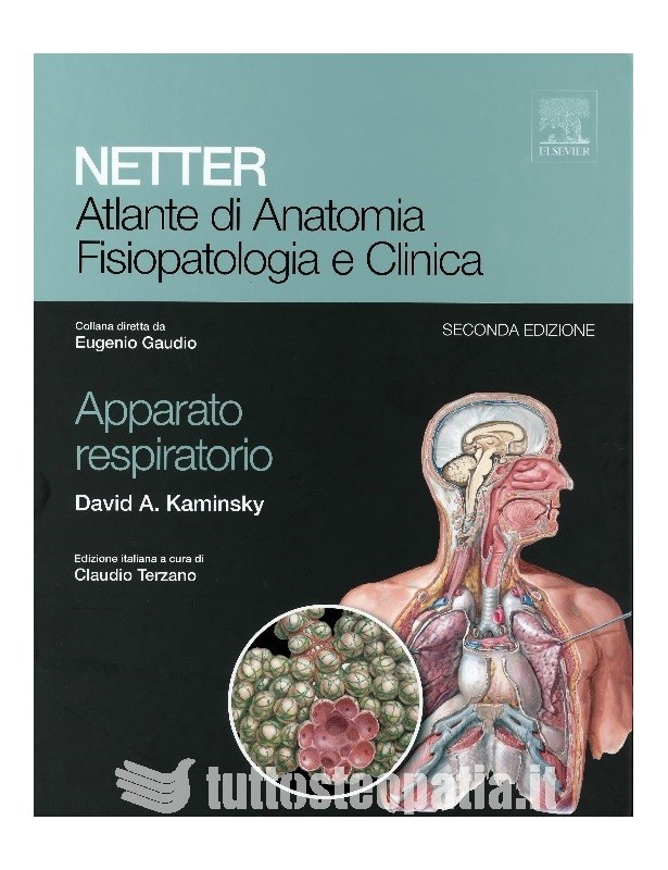 NETTER - Atlante di anatomia,...