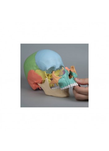 Cranio Erler Zimmer... 2