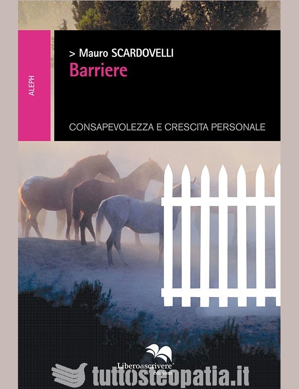 Barriere - Mauro Scardovelli