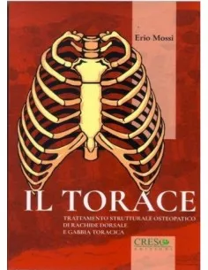 Il torace - Trattamento...