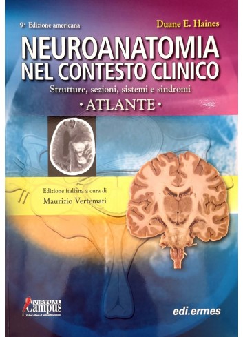 Neuroanatomia nel contesto...