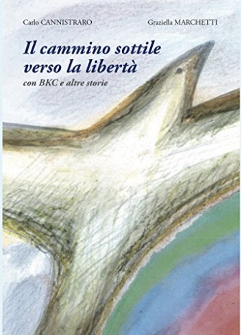 Il cammino sottile verso la...