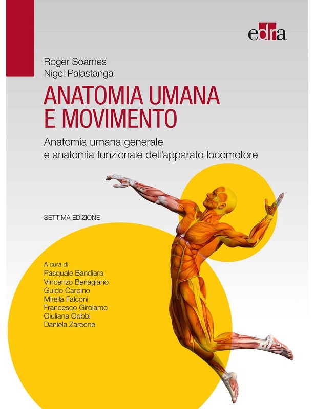 Anatomia umana e movimento - Settima...