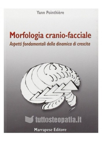 Morfologia cranio-facciale - Yann Pointhiere