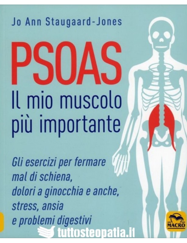 Psoas, Il mio Muscolo più Importante...