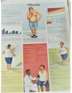 3B Scientific, tavola anatomica, Obesità (cod, VR4460UU)