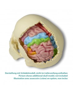 Erler Zimmer, modello... 2