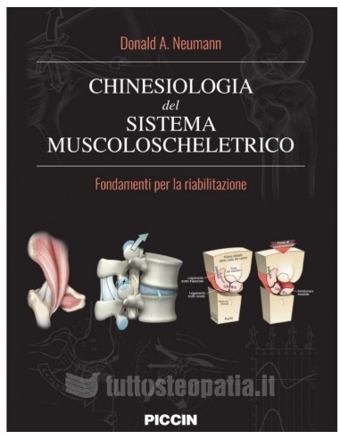 Chinesiologia del sistema muscolo...