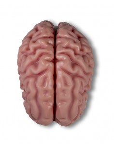 Erler Zimmer, modello... 2