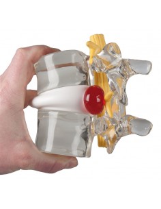 Erler Zimmer, simulatore di... 2