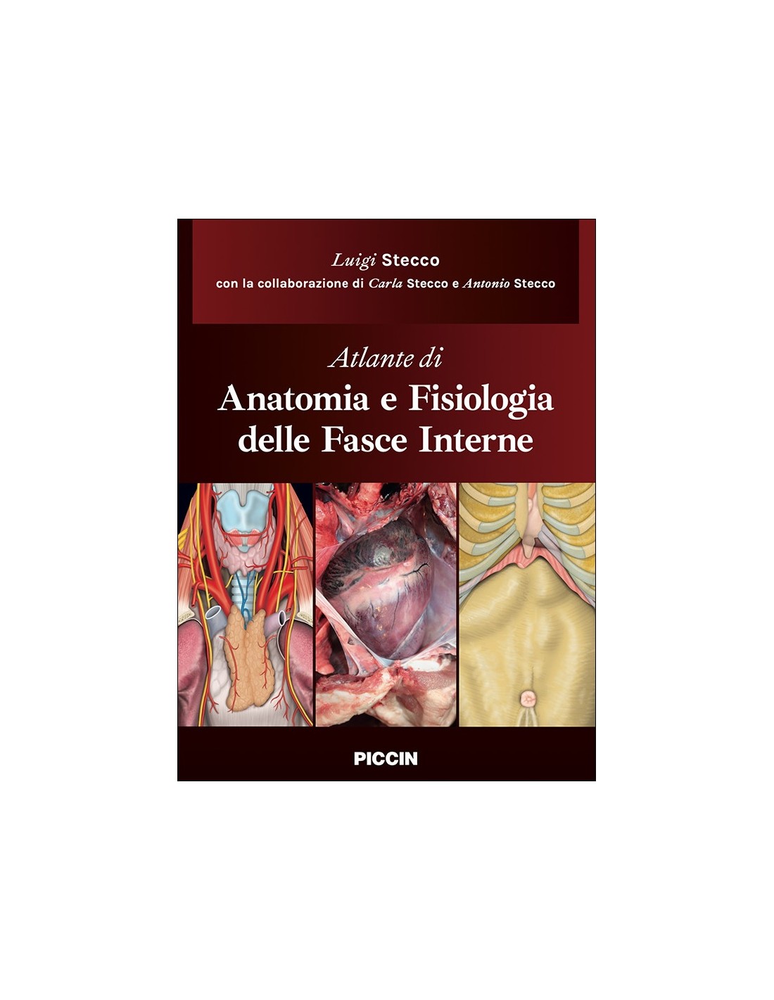 Atlante di Anatomia e Fisiologia delle fasce interne Luigi Stecco