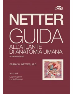 Netter - Guida all'atlante di anatomia umana. L. Cocco, L. Manzoli