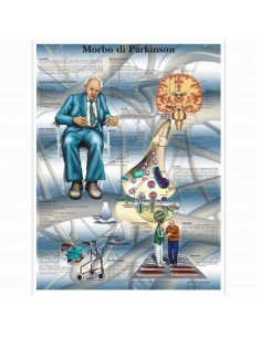 3B Scientific, tavola anatomica, Poster Morbo di Parkinson cod. VR4629L