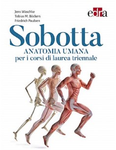Sobotta - Anatomia umana per i corsi di laurea triennale
